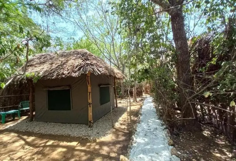 اتاق عادی, Watamu Beach Cottages B&b