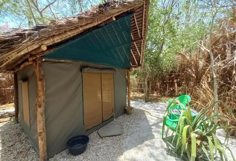 اتاق عادی, Watamu Beach Cottages B&b