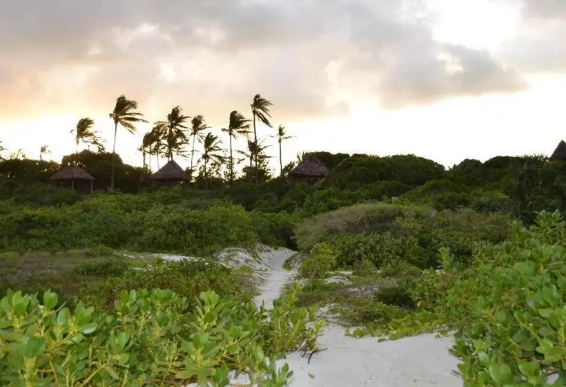 اتاق اکونومی, Watamu Beach Cottages B&b