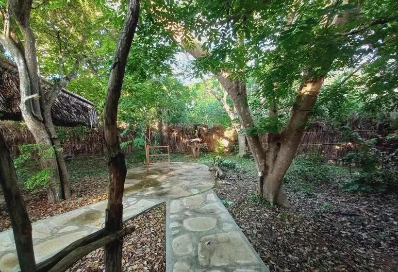 اتاق اکونومی, Watamu Beach Cottages B&b