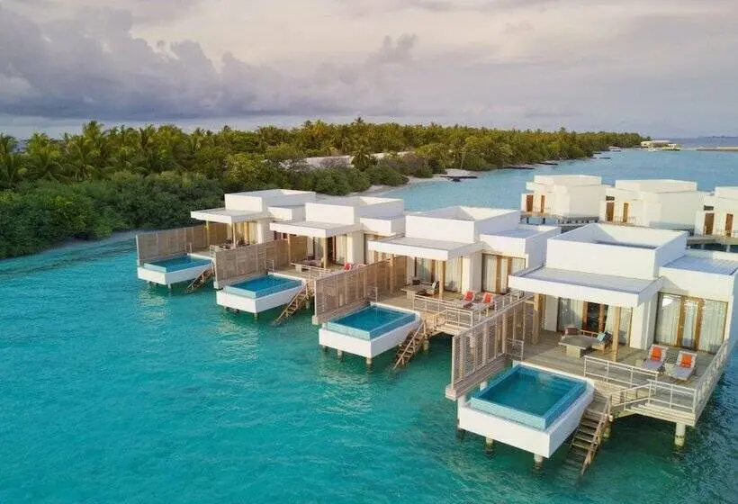 ویلای یک اتاق خوابه با استخر شنا, Niva Dhigali Maldives