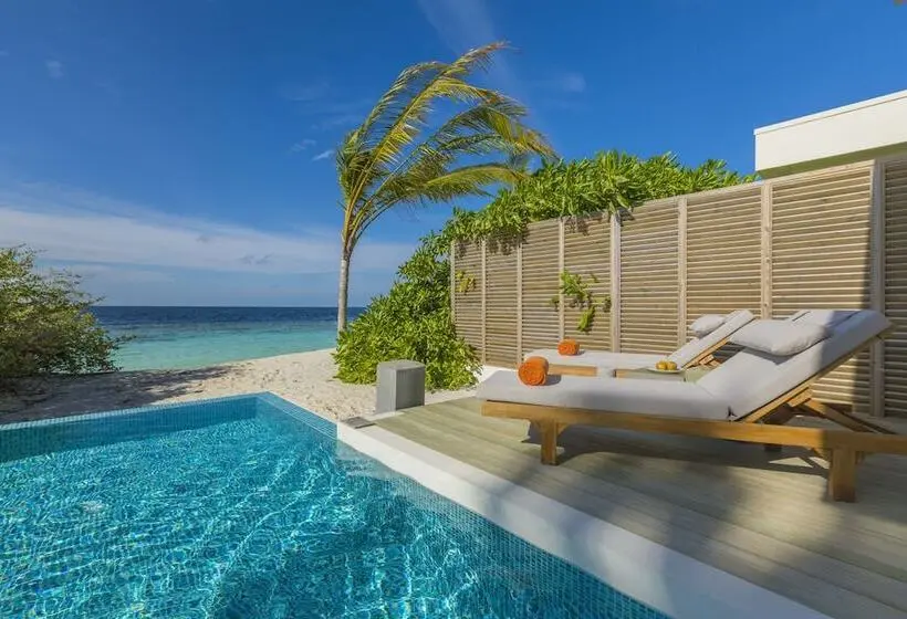 ویلای یک اتاق خوابه با استخر شنا, Niva Dhigali Maldives
