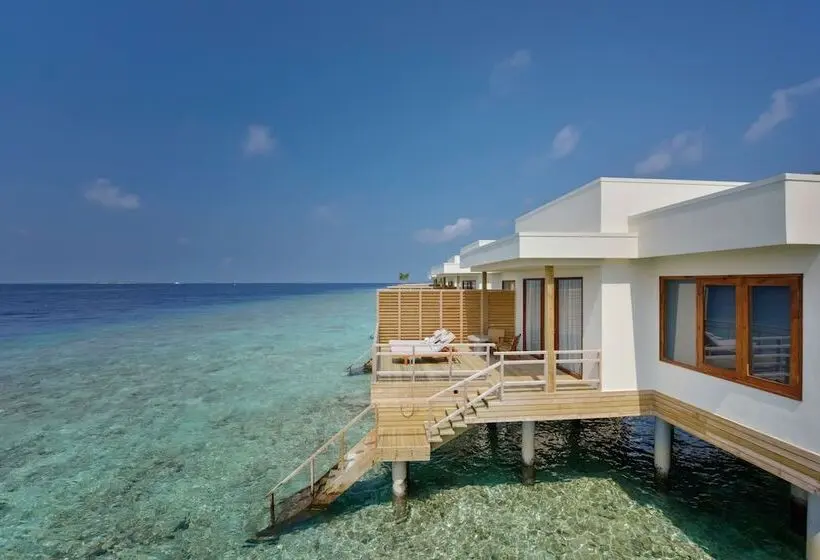 ویلای 1 خوابه, Niva Dhigali Maldives