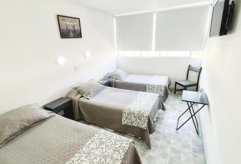 标准三人间, Concorde