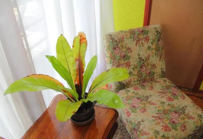 اتاق خانوادگی, Hostal Benavente