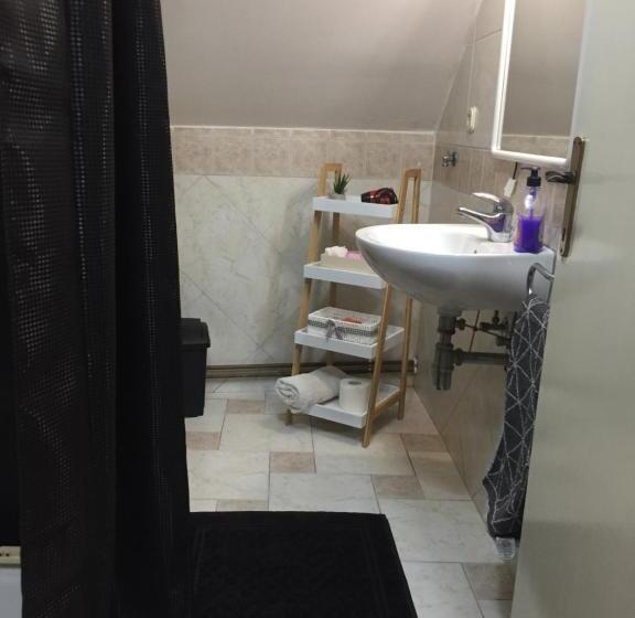 شقة غرفة واحدة, Hostel Lega House