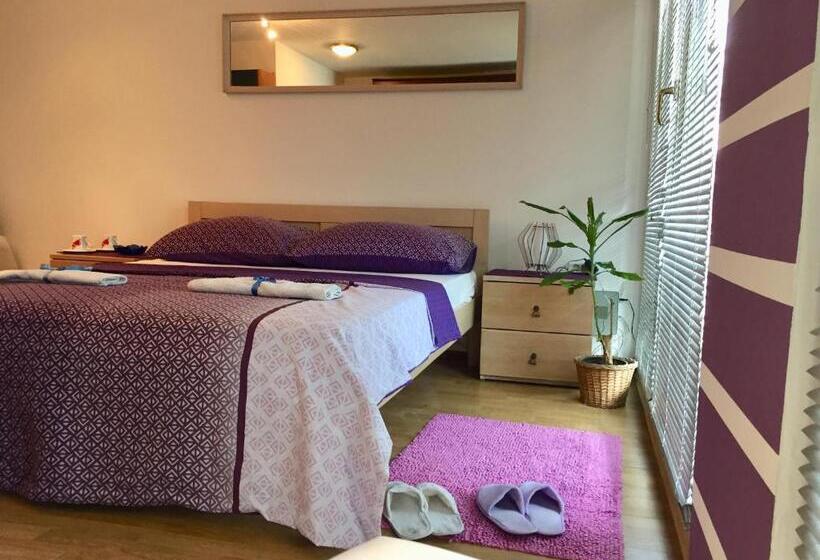 شقة غرفة واحدة, Hostel Lega House