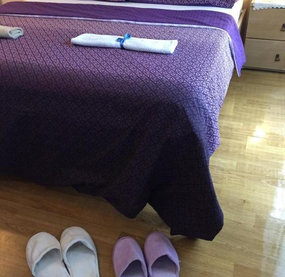 شقة غرفة واحدة, Hostel Lega House