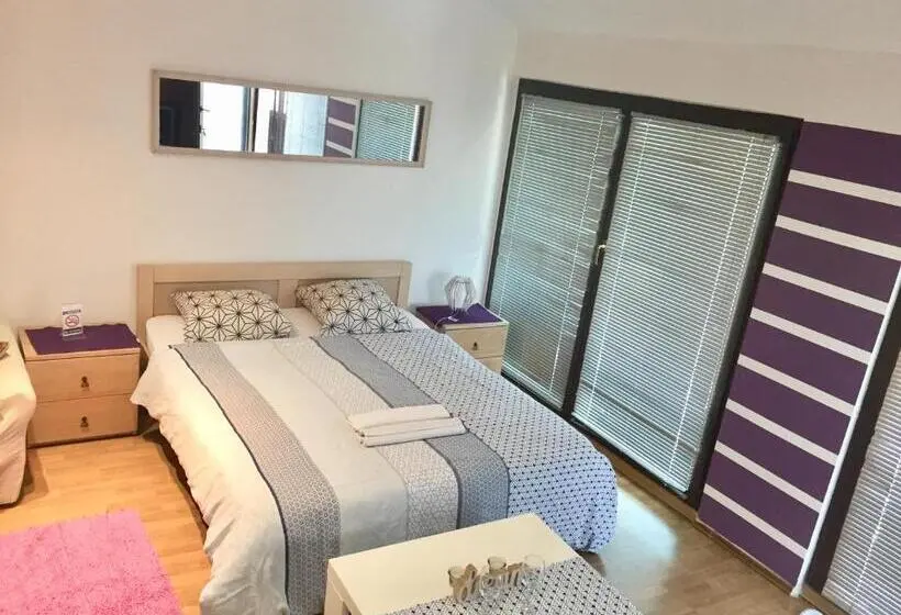 آپارتمان 1 خوابه, Hostel Lega House