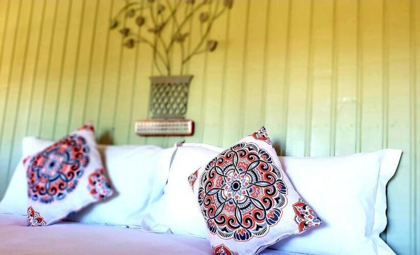 בקתה סטנדרטית, De Pakhuys