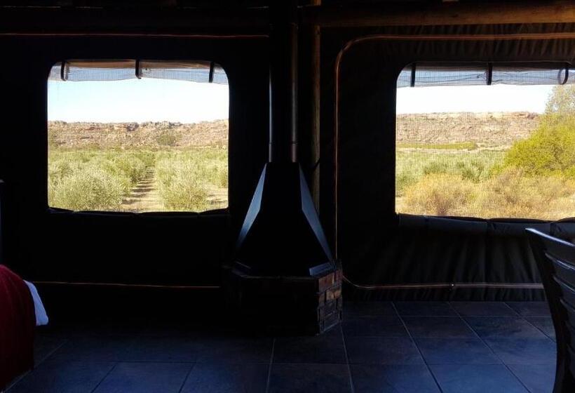 בקתה סטנדרטית, De Pakhuys