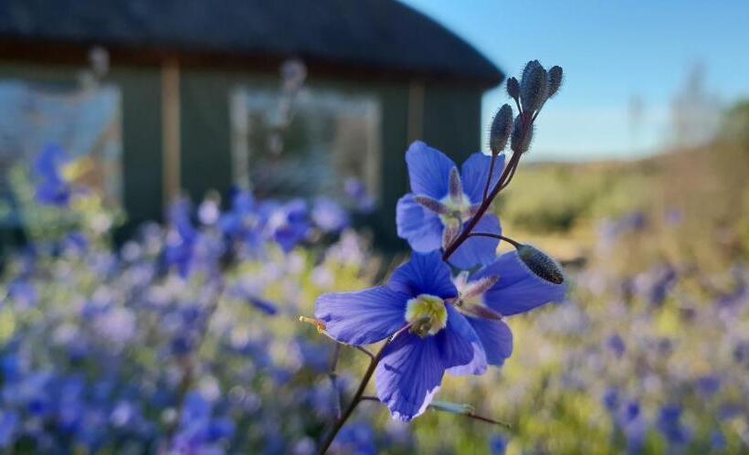בקתה סטנדרטית, De Pakhuys