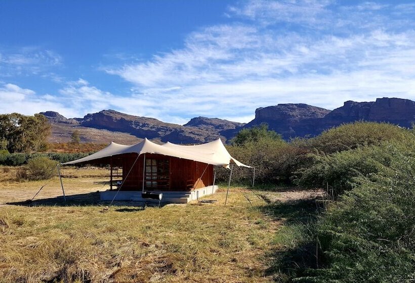 קוטג' דלוקס, De Pakhuys