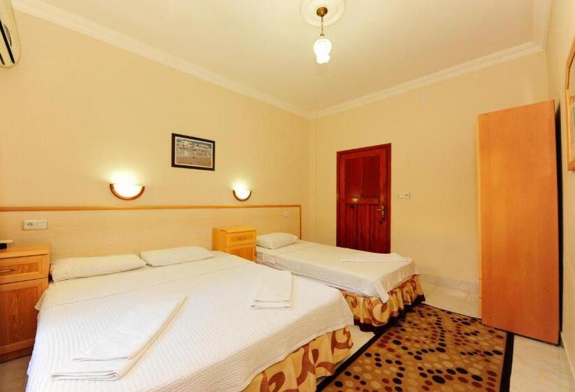 标准三人间, Golden Pension