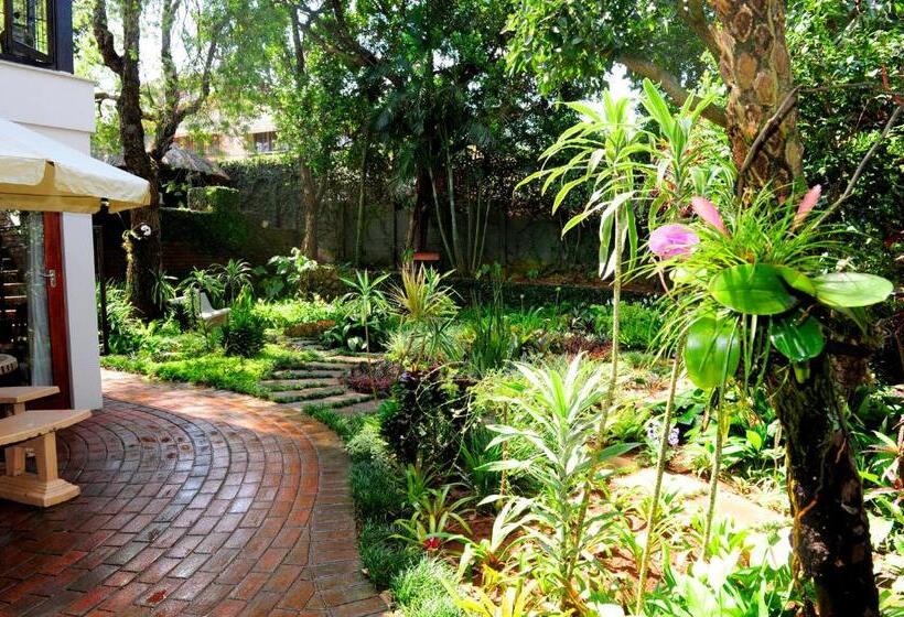 ファミリールーム, Oliveroom Self Catering And B&b