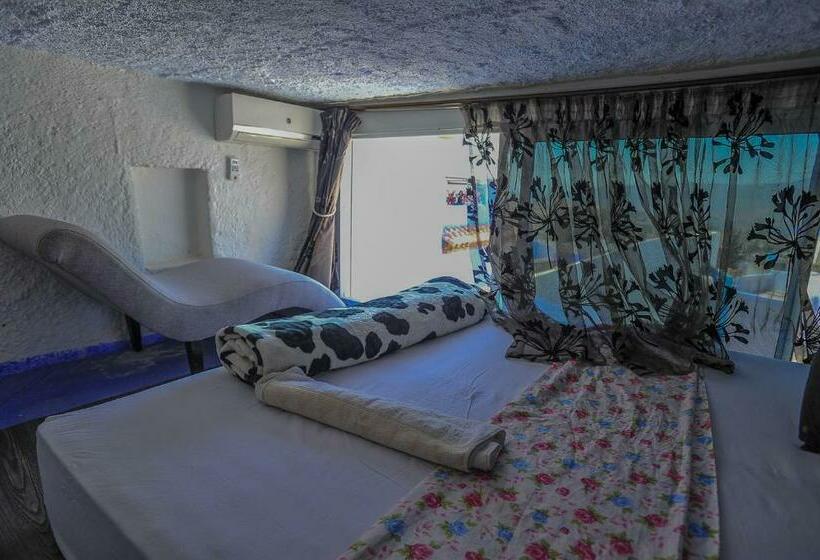 豪华洋房, Riad Antek