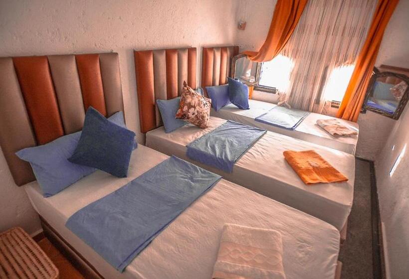 家庭洋房, Riad Antek