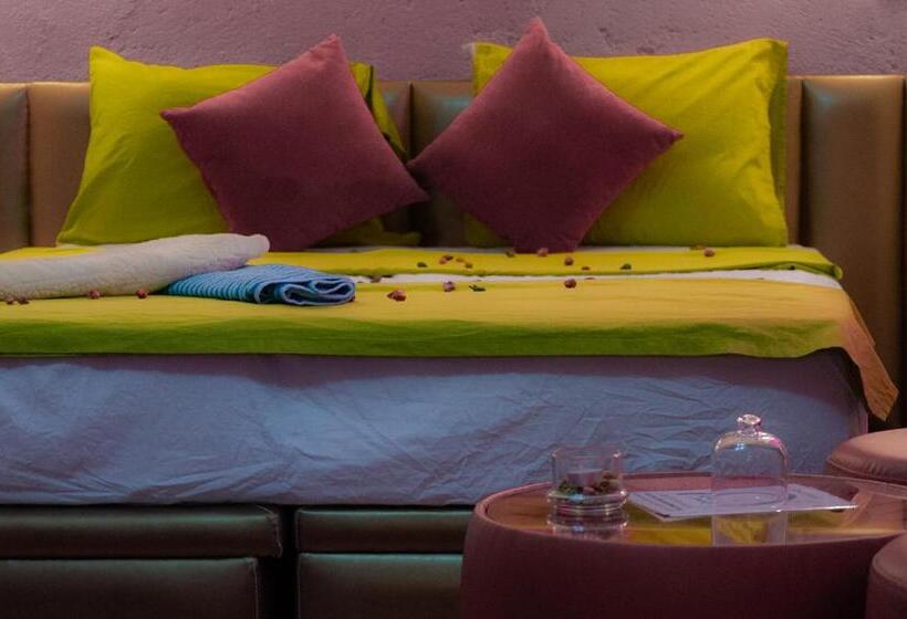 标准平房, Riad Antek