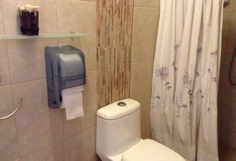 غرفة قياسية فردية, Hostal El Parron