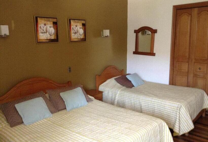 غرفة قياسية فردية, Hostal El Parron