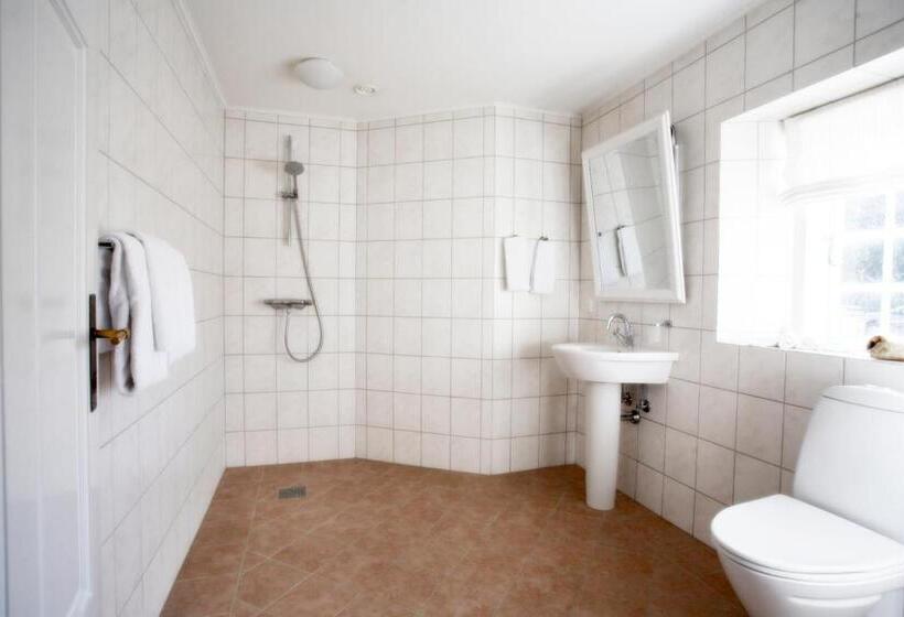 חדר סטנדרט, Broholm Castle