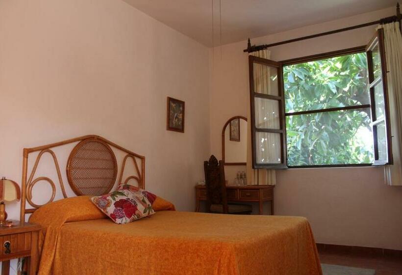 اتاق استاندارد, La Plaza De Tequisquiapan