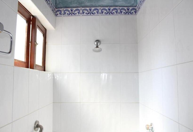 اتاق سوپریور با تخت بزرگ, La Plaza De Tequisquiapan