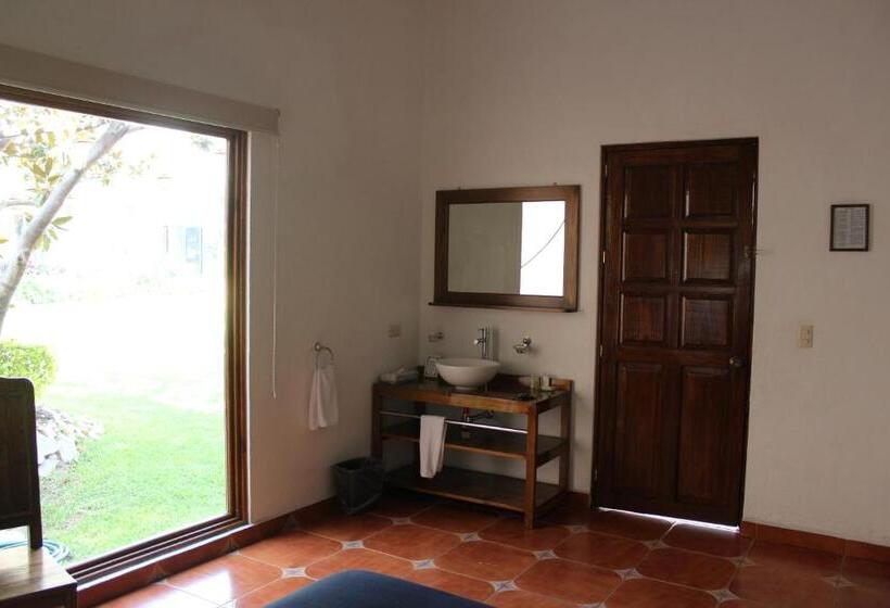 اتاق سوپریور با تخت بزرگ, La Plaza De Tequisquiapan