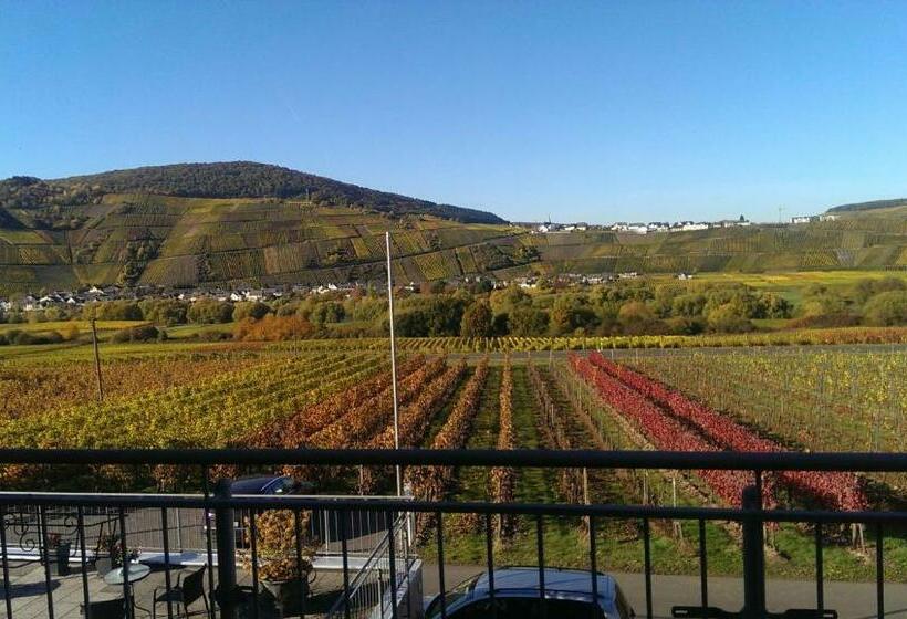 חדר סטנדרט עם מרפסת, Weingut Tiliahof