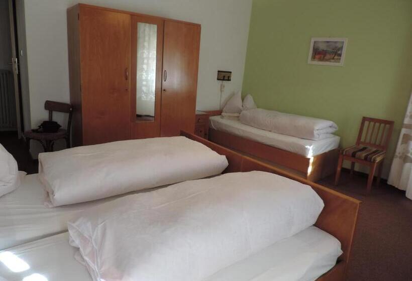 스탠다드 트리플 룸, Garni Christin