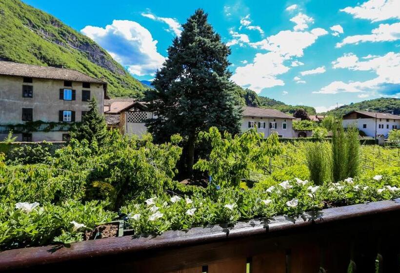 Номер Стандарт с Балконом, Garni Meinrad