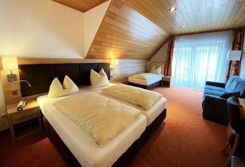 Comfort Triple Room, Herbstein