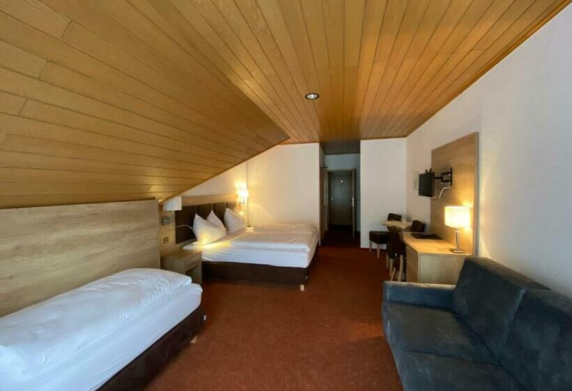 Economy Single Room, Herbstein