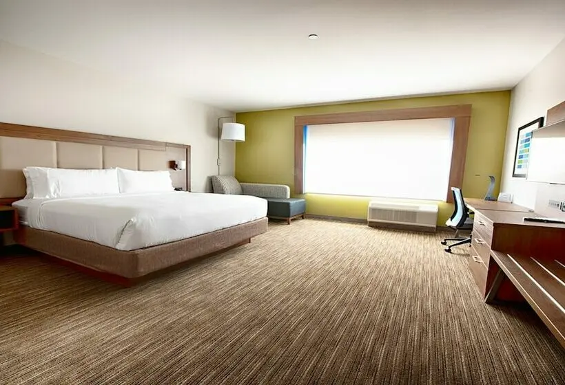 スタンダードルーム, Holiday Inn Express & Suites Houston Sw   Galleria Area By Ihg