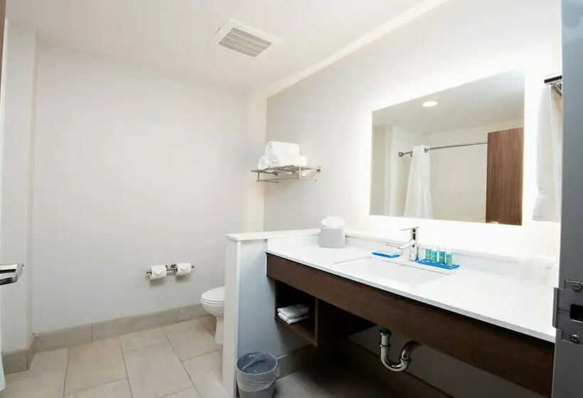スタンダードルーム, Holiday Inn Express & Suites Houston Sw   Galleria Area By Ihg