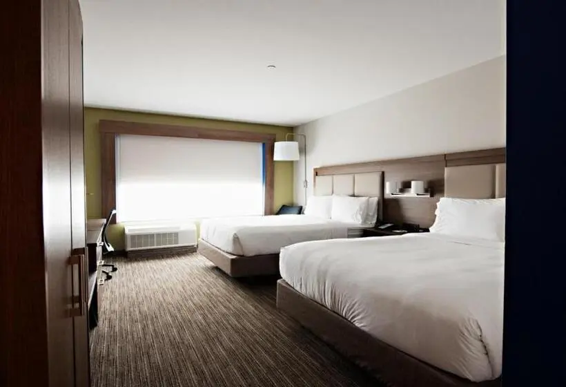 スタンダードルーム, Holiday Inn Express & Suites Houston Sw   Galleria Area By Ihg