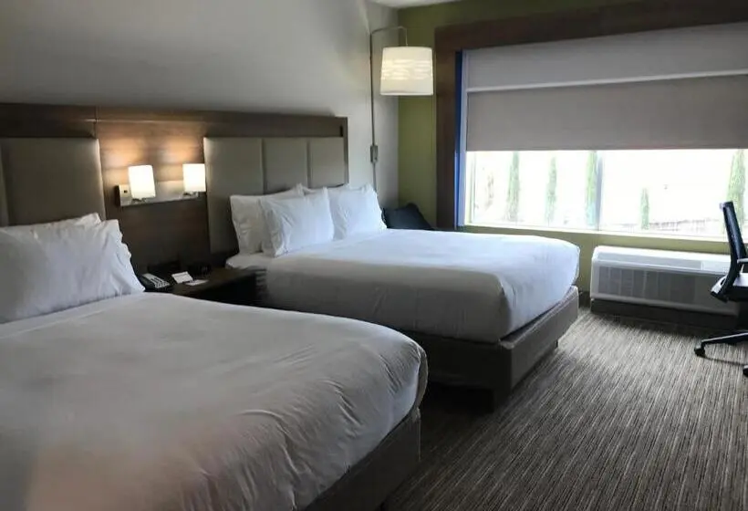 スタンダードルーム, Holiday Inn Express & Suites Houston Sw   Galleria Area By Ihg