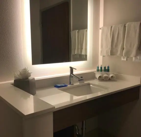 スイート, Holiday Inn Express & Suites Houston Sw   Galleria Area By Ihg