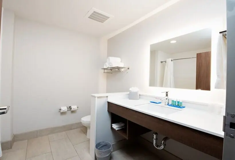 スイート, Holiday Inn Express & Suites Houston Sw   Galleria Area By Ihg