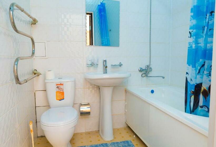 اتاق استاندارد, Nurlytau