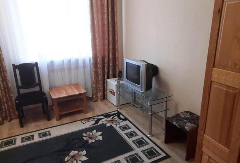 اتاق استاندارد, Nurlytau