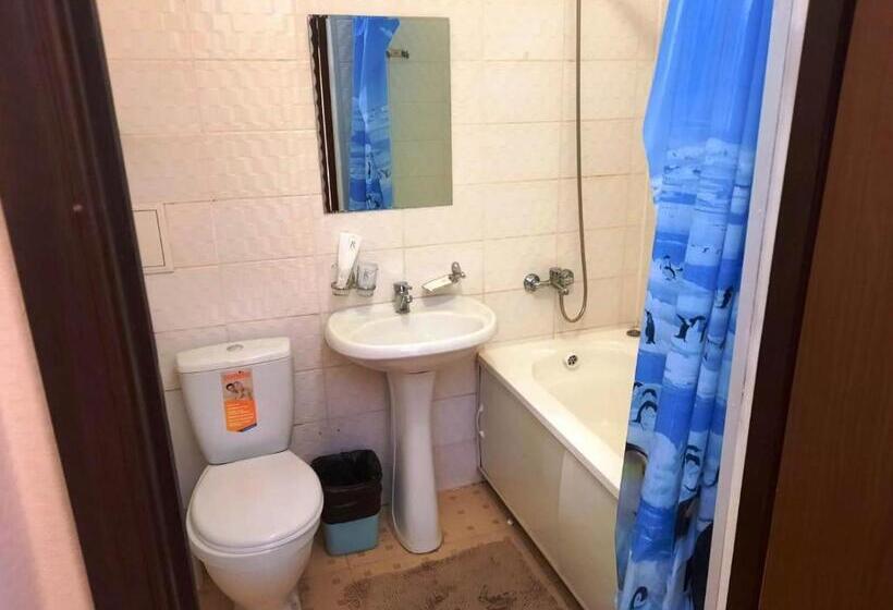 اتاق سوپریور, Nurlytau