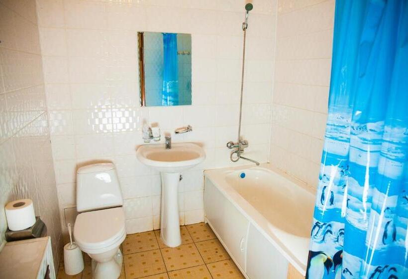 اتاق سوپریور خانوادگی, Nurlytau