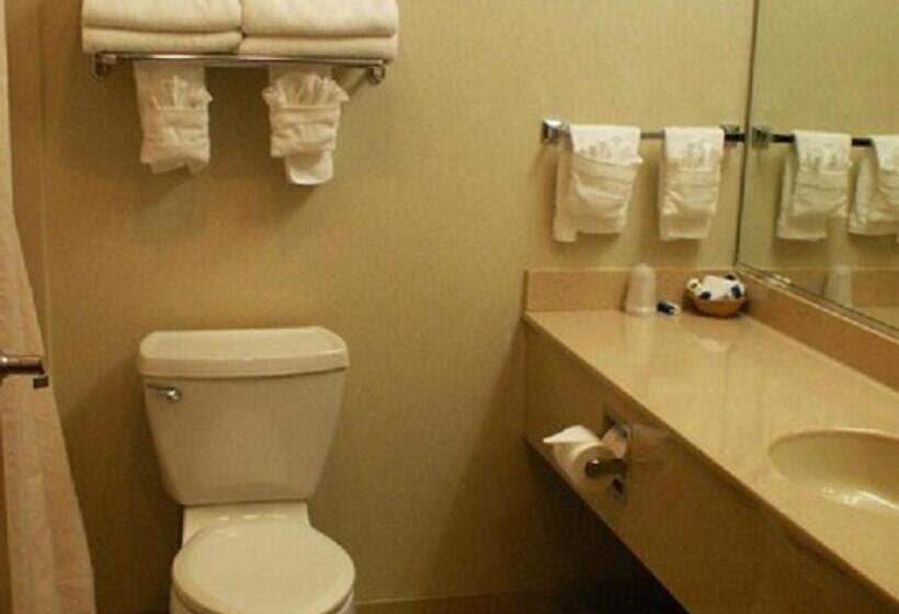 스탠다드 룸 킹사이즈 침대, White River Inn