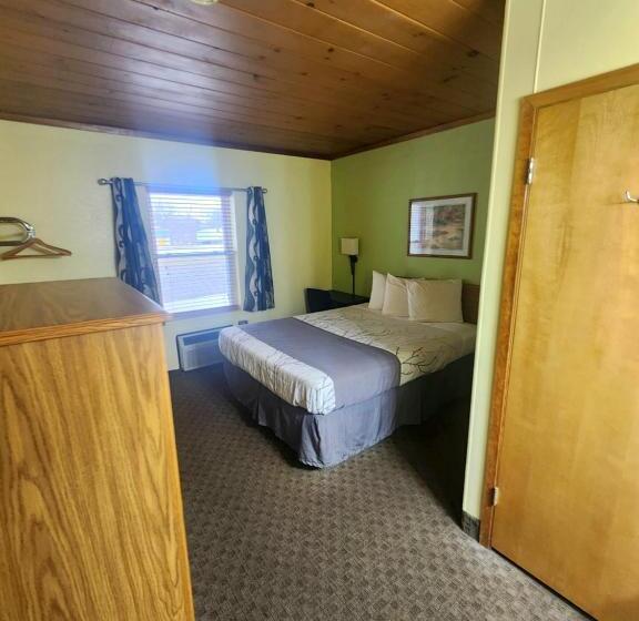 غرفة قياسية فردية, Lantern Motel