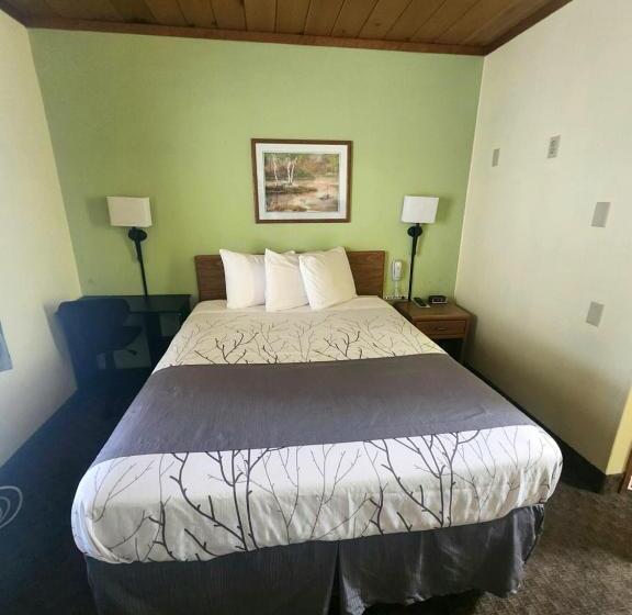 غرفة قياسية فردية, Lantern Motel