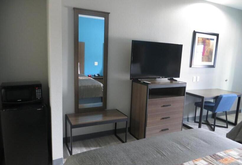 غرفة قياسية, Haven Inn & Suites Willowbrook