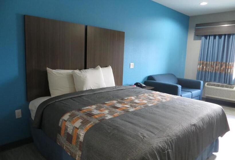 غرفة قياسية سرير كينج, Haven Inn & Suites Willowbrook