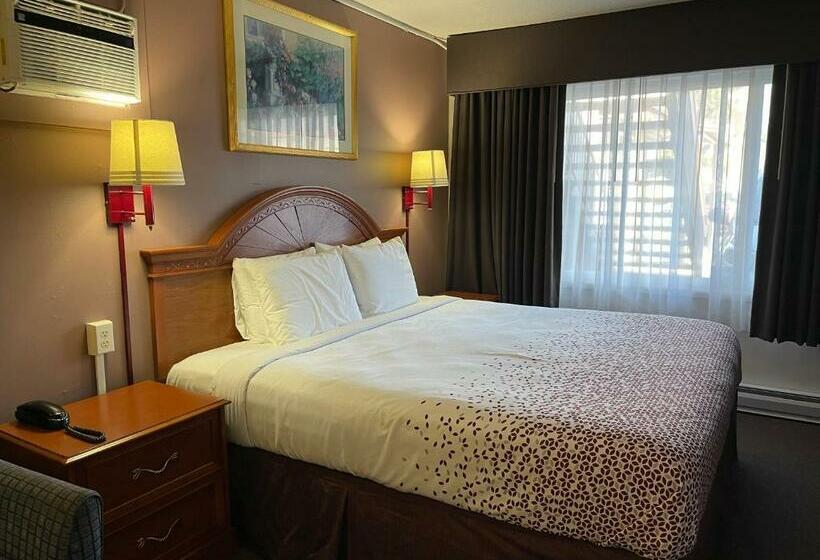 غرفة قياسية سرير كينج, Viking Motel