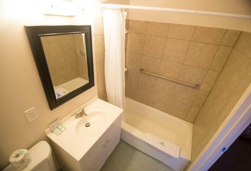 غرفة قياسية سرير كينج, Viking Motel